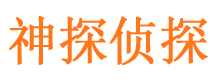 新洲侦探公司